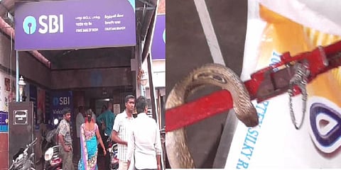 வங்கிக்குள் புகுந்த நல்ல பாம்பு : அலறி ஓடிய வாடிக்கையாளர்கள்