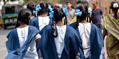 நெல்லையில் பெரும்பாலான பட்டியலின இளம்பெண்கள் ரத்த சோகை நோயால் பாதிப்பு - ஆய்வில் தகவல்