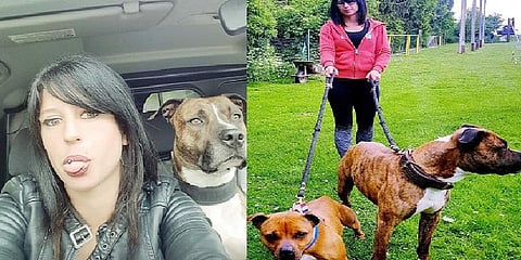 கடித்துக் குதறிய வேட்டை நாய்கள்: கர்ப்பிணி பெண் உயிரிழப்பு!