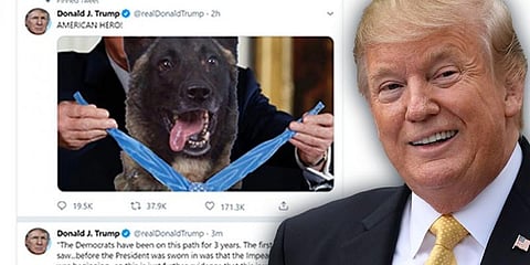 பாக்தாதியை கொல்ல உதவிய நாயை நேரில் பார்வையிட்ட ட்ரம்ப்