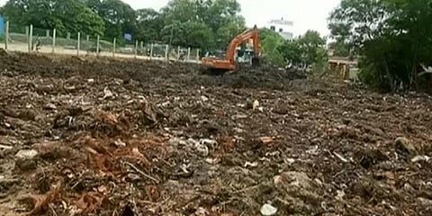 சென்னையில் உருவாகும் மியாவாக்கி காடுகள்.. மும்முரம் காட்டும் தமிழக அரசு