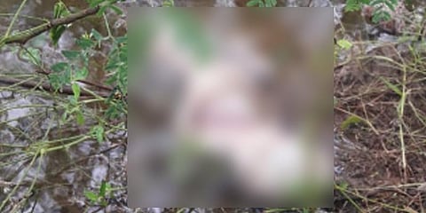 ஆற்றில் கிடந்த பெண் குழந்தையின் சடலம் : தொடரும் துயரம்..!