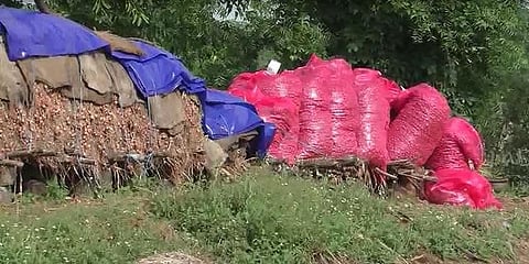 ரூ.50 ஆயிரம் மதிப்பிலான வெங்காயத்தைச் திருடிச் சென்ற மர்ம நபர்கள்!