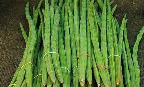 வெங்காயத்தை தொடர்ந்து உச்சத்தில் முருங்கை விலை..!