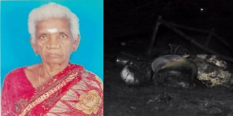 கொசுவை விரட்ட புகைமூட்டம்: பற்றிய தீயில் ஆடுகளுடன் மூதாட்டியும் உயிரிழப்பு