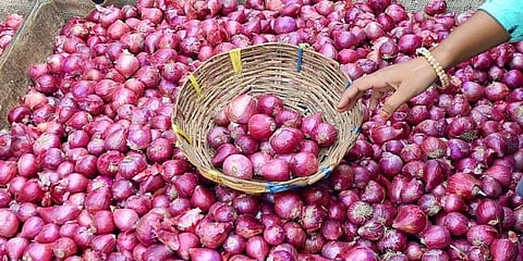 ''அளவில் பெரியதாக இருக்கிறது'': வாங்க ஆள் இல்லாமல் கிடக்கும் எகிப்து வெங்காயம்!