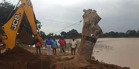 சாய்ந்த 50 ஆண்டுகள் பழமையான மரம் - மீண்டும் அழகாக நட்டு வைத்த அதிகாரிகள்