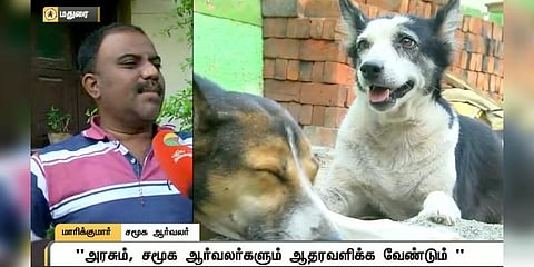 தெரு நாய்களை பெற்ற குழந்தைகள் போல் பராமரிக்கும் நேசமிகு மனிதர்..!