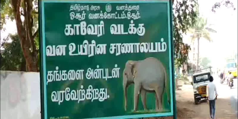 தந்தத்திற்காக கொல்லப்பட்ட யானை - 2 வனத்துறையினர் பணியிடை நீக்கம்