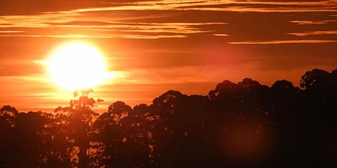 வளைய சூரிய கிரகணத்தை இலவசமாக பார்க்க ஏற்பாடு - கொடைக்கானல் நகராட்சி அறிவிப்பு