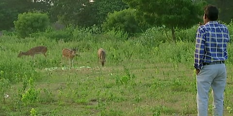 விசில் சத்தத்திற்கு ஓடோடி வரும் மான்கள்.. அப்படி என்ன செய்கிறார் சைதாப்பேட்டை சுதாகர்..!