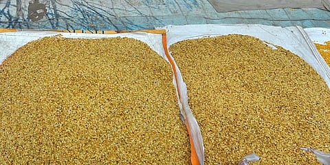 "ஒரே நாடு ஒரே ரேஷன் திட்டம்"- 12 மாநிலங்களில் ஜன 15 முதல் அமல் ?