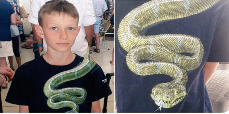 ‘பாம்பு படம்’ பனியனுடன் வந்த சிறுவன் - மாற்றிய பின்னரே அனுமதித்த ஏர்லைன்ஸ்