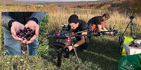 ட்ரோன் மூலம் விதைப்பந்துகளை தூவும் முயற்சி: 100 கோடி மரங்கள் வளர்க்க திட்டம்!