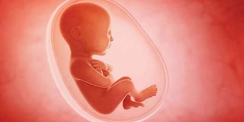 சென்னை ஸ்கேன் சென்ட்டரில் கருக்கலைப்பு? அதிர்ச்சி தகவல்