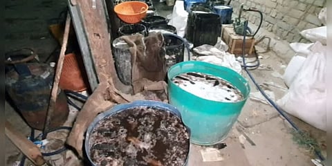 ரூ.40 லட்சம் மதிப்புள்ள ஒரு டன் கடல் அட்டை பறிமுதல்