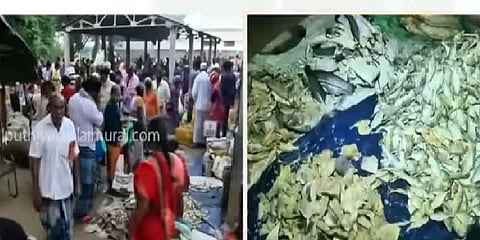 கடலூரில் விடிய விடிய கருவாட்டுச் சந்தை: ஒரே இரவில் ரூ.1கோடி வரை விற்பனை