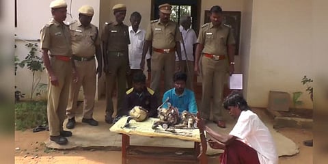 நாட்டுத் துப்பாக்கியால் மயில் வேட்டை - முரண்பட்ட பதிலால் சிக்கிய 3 பேர்