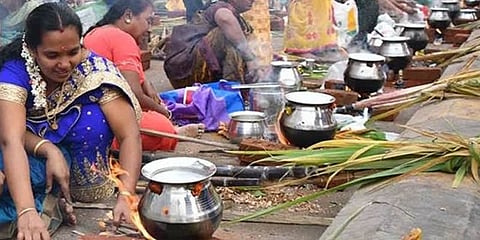 பொங்கல் பண்டிகை உற்சாக கொண்டாட்டம்