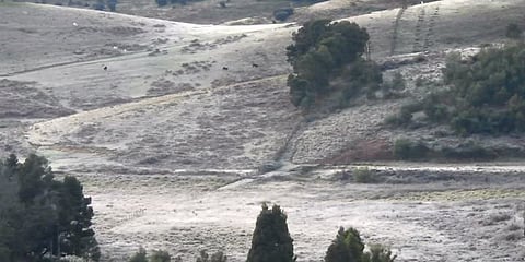 வெள்ளியை உருக்கிக் கொட்டியதுபோல உறைபனி.. காண்போர் பரவசம்..!