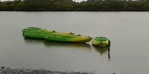 இயற்கையை ரசிக்க சுற்றுலா சென்ற குடும்பம் - வனத்துறை படகு கவிழ்ந்து சிறுவன் பலி