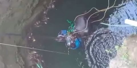 மஞ்சுவிரட்டின் போது கிணற்றில் விழுந்து காளை உயிரிழப்பு - நிர்வாகிகள் கைதுக்கு எதிர்ப்பு