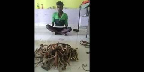 சத்தமில்லாமல் நடக்கிறதா மான் வேட்டை?: அரசு பேருந்தில் கைப்பற்றப்பட்ட 59 மான் கொம்புகள்!