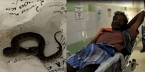 தன்னை கடித்த பாம்புடன் மருத்துவமனைக்கு வந்த விவசாயி
