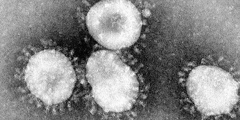 இந்தியாவிலும் கொரனா... கேரள மாணவருக்கு பாதிப்பு