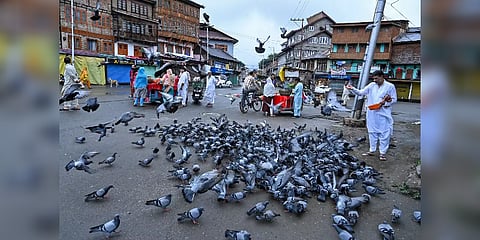 ஜம்மு காஷ்மீர் மாநிலத்திற்கு 30,757 கோடி ஒதுக்கீடு: பட்ஜெட்டில் அறிவிப்பு