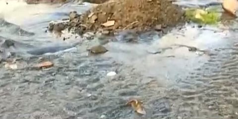 குடிநீர் குழாய் உடைந்து சாலையில் ஆர்பரித்து ஓடும் குடிநீர் - சோப்பு போட்டு குளித்து கண்டனம்