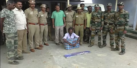 சிறுமுகை பவானியாற்றில் முதலை வேட்டை - ஒருவர் கைது