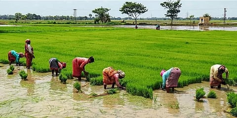 தமிழக பட்ஜெட் : வேளாண்துறைக்கு என்னென்ன திட்டங்கள் ?