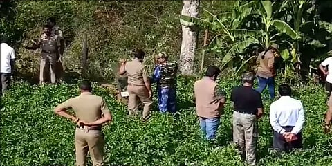 சுருக்கு கம்பியில் மாட்டிய புலி: பதறிய கிராம மக்கள்