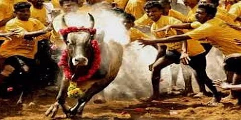 “ஜல்லிக்கட்டு நடத்தினால் சாதிய பிரச்னைகள் ஏற்படும்” - நீதிமன்றத்தில் வாதம்