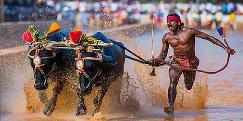 முதலில் கம்பாளா போட்டிகள் முடியட்டும்... - தடகள சோதனை குறித்து மின்னல் வீரர் கருத்து