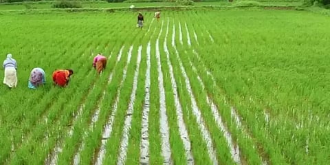 பாதுகாக்கப்பட்ட வேளாண் மண்டலம்..! - எந்தெந்த திட்டங்களுக்கு அனுமதியில்லை ?