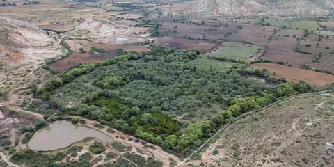 இயற்கை மீதான காதல் - வனவிலங்குகளுக்காக வனத்தை உருவாக்கிய தம்பதி..!