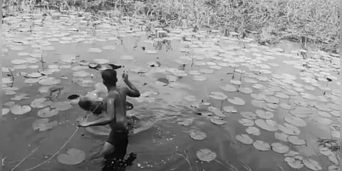 அடையாளம் தெரியாத ஆண் சடலம் : ஸ்ரீபெரும்புதூரில் போலீஸ் விசாரணை