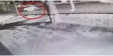 ஆற்றங்கரையோரம் சிறுத்தை நடமாட்டம் - குளிக்க வர வேண்டாம் என எச்சரிக்கை