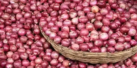 வெங்காய ஏற்றுமதிக்கான தடையை நீக்க மத்திய அரசு முடிவு