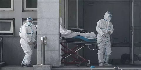 அனைத்து கண்டங்களுக்கும் பரவியதா கொரோனா வைரஸ் ?