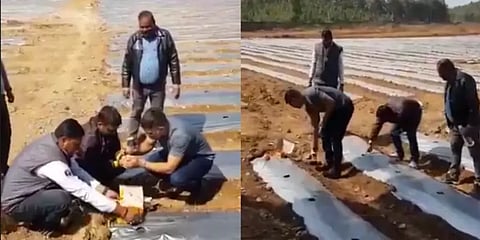 இயற்கை முறையில் தர்பூசணி சாகுபடி : விவசாயியான தோனி..!