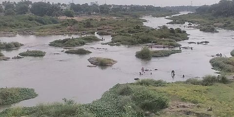 “தாமிரபரணி ஆற்றை வரைபடங்களில்தான் காண்பிக்க நேரிடும்”- உயர்நீதிமன்ற மதுரை கிளை எச்சரிக்கை