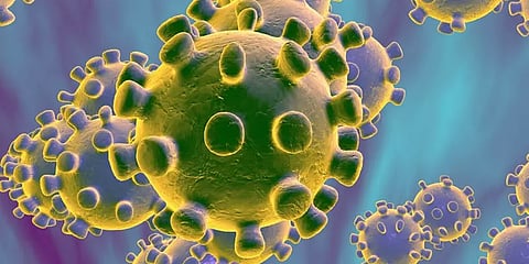 இந்தியாவில் 28 பேருக்கு கொரோனா பாதிப்பு