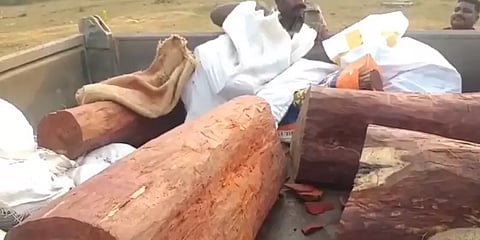 நீண்ட நேரமாக ஒரே இடத்தில் நின்ற கார் : சந்தேக சோதனையில் சிக்கிய செம்மரங்கள்