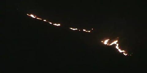 கோடைக்கு முன்னரே மேற்குத் தொடர்ச்சி மலைப்பகுதிகளில் காட்டுத்தீ!