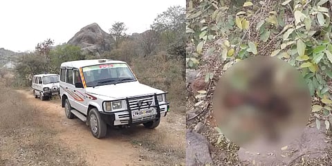 வனப்பகுதி மலைமீது அழுகிய நிலையில் பெண்ணின் சடலம் : மீட்புப் பணியில் போலீஸார்