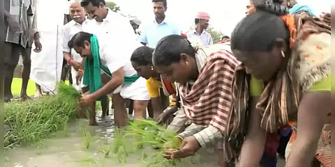 வயலில் இறங்கி நாற்று நட்ட முதல்வர் பழனிசாமி