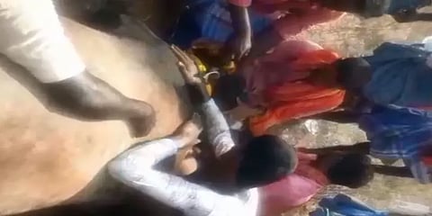 மாடுபிடி வீரர்களிடமிருந்து தப்பி மின்கம்பியை மிதித்து உயிரிழந்த ஜல்லிக்கட்டு காளை